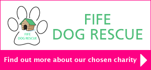 Find out more about our chosen charity