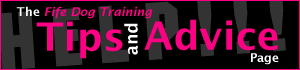 The Fife Dog Training Tips and Advice Page